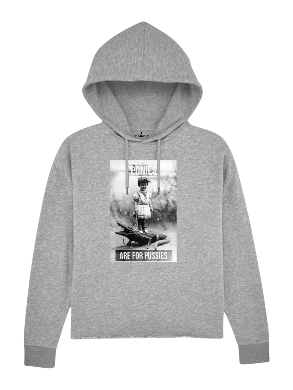 Be Famous Women Boxy Hoodie Pussies  Grey XL